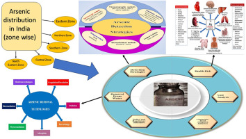 A comprehensive review on arsenic contamination in groundwater: Sources, detection, mitigation strategies and cost analysis