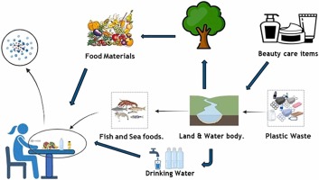Microplastics distribution and potential health implications of food and food products