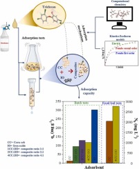 Insights from batch adsorption and fixed-bed column studies