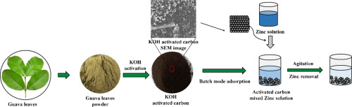 Process development of guava leaves with alkali in removal of zinc ions from synthetic wastewater