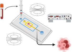 Dielectrophoresis-based microfluidics for detection and separation of circulating tumor cells