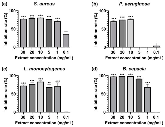 Macleania rupestris anthocyanins antimicrobial activity antibiofilm activity antifungal activity in vitro assay