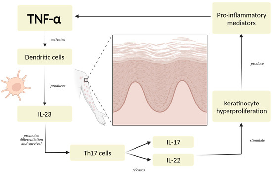 psoriasis; cytokines; obesity; dietary interventions; Mediterranean diet; ketogenic diet; fasting-mimicking diet; inflammation; personalized nutrition