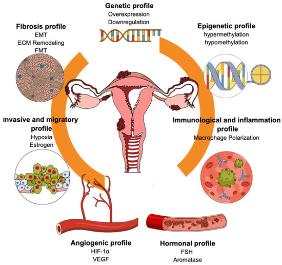 Endometriosis: Challenges in Clinical Molecular Diagnostics and Treatment