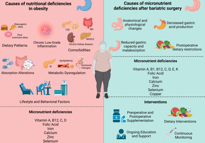 obesity; bariatric surgery; micronutrient deficiencies; micronutrient supplementation; healthcare