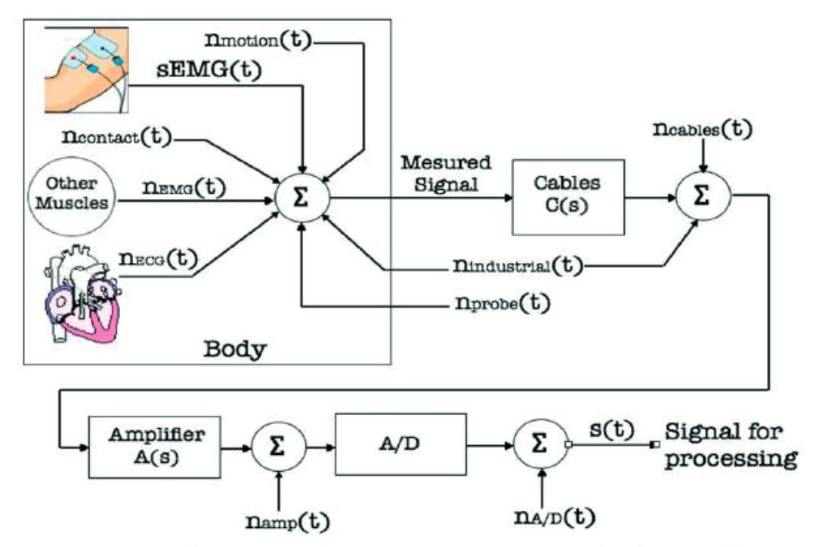 Aplicación del diseño basado en modelos para el filtrado de señales sEMG utilizando la Transformada Wavelet