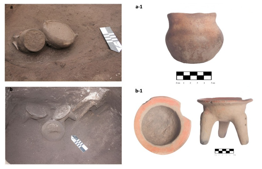Evidence of eared doves consumption and the potential toxic exposure during the Regional Development period in Quito-Ecuador