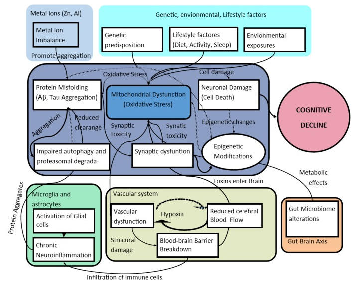 Exploring Pathophysiological Hypotheses and the Role of Machine
