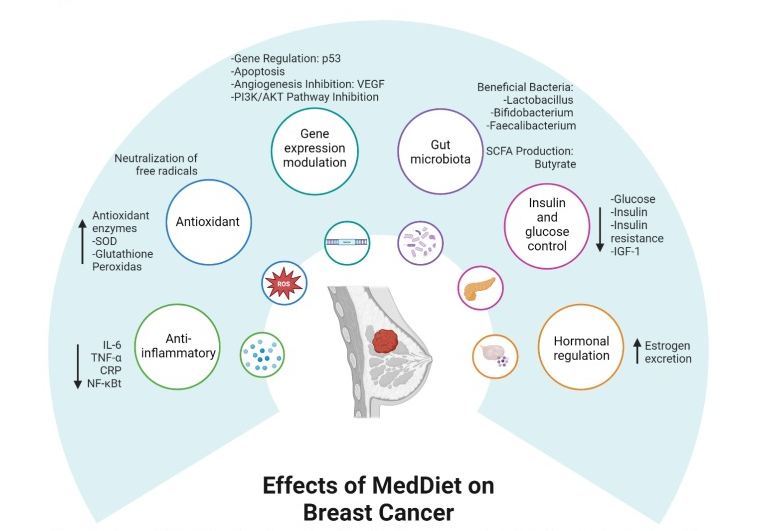 Dieta mediterránea y cáncer de mama: una revisión narrativa