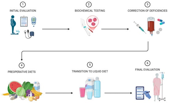 Preoperative Nutrition in Bariatric Surgery: A Narrative Review on Enhancing Surgical Success and Patient Outcomes