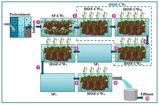 Schematic representation of wastewater treatment plant