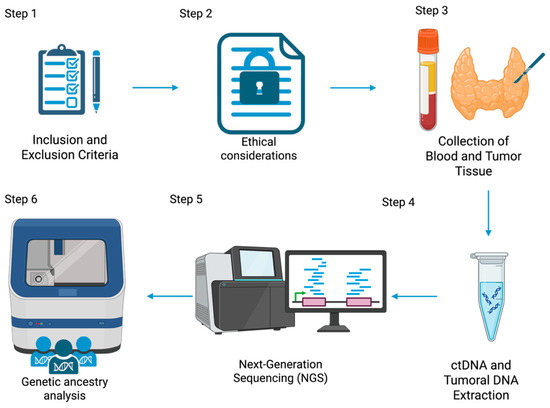 Overview of the experimental workflow for the genomic analysis of thyroid cancer using liquid biopsy and tumor tissue.