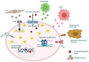 Therapeutic resistance remains a critical barrier in effective cancer treatment, contributing to disease recurrence, progression, and reduced