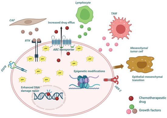 Therapeutic resistance remains a critical barrier in effective cancer treatment, contributing to disease recurrence, progression, and reduced